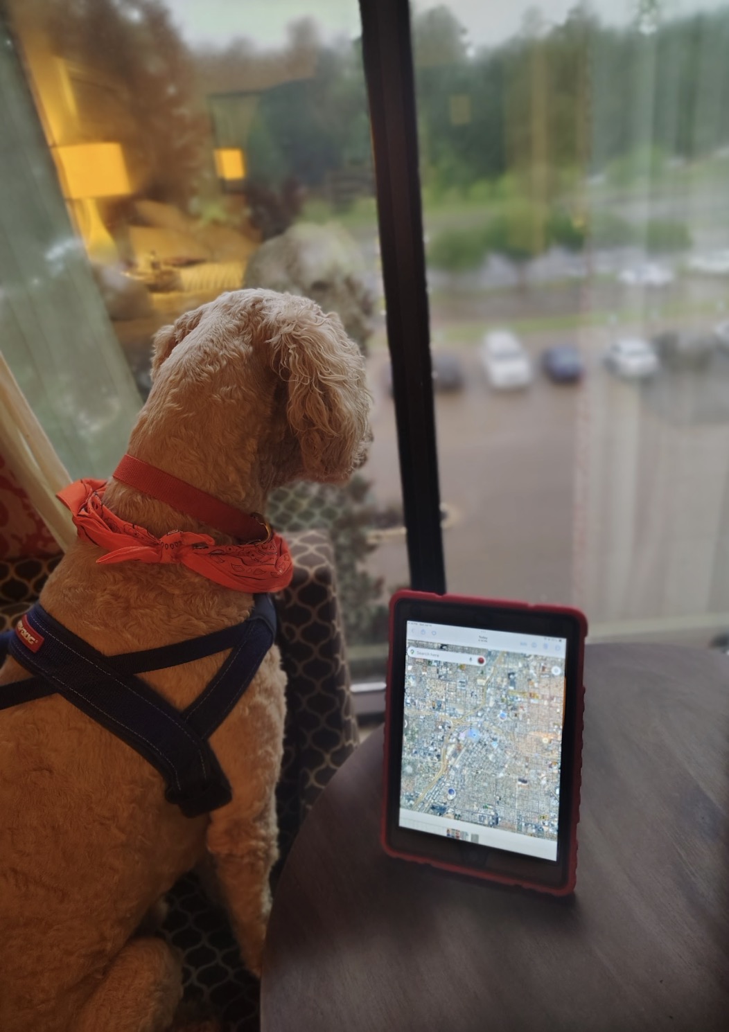 Copper looking out a rainy hotel window beside a map.